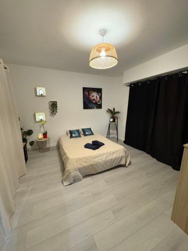 Colmar Apartment | Studio 2 personnes à Colmar parking gratuit a 10 minutes à pieds de la petite Venise - gare a 10 minutes - station de bus à 2 minutes