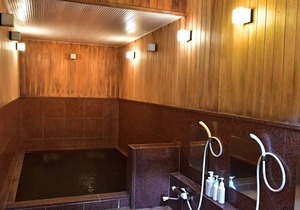20 m² Hotel ∙ 1 bedroom ∙ 4 guests in Mikuni