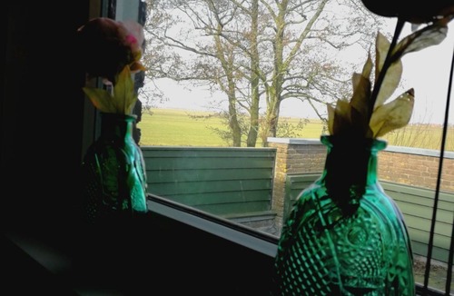 Wijdewormer House | Greenfields Guesthouse