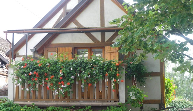 Alsace style timber framed house in Kintzheim