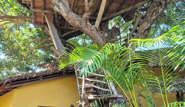 AMBALAMANGA: large house with tree house, 200 m from the sea and entertainment. in Ambatoloaka