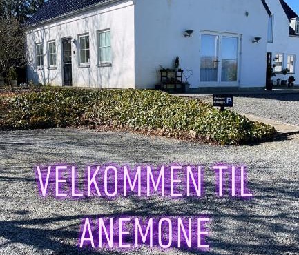 Anemone huset in Vorbasse