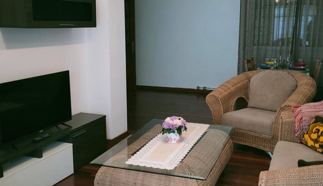 Apartment 'En Centro De Monforte' with Wi-Fi in Monforte de Lemos