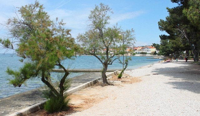Apartments Željko, (11911), Zadar, hr in Zadar