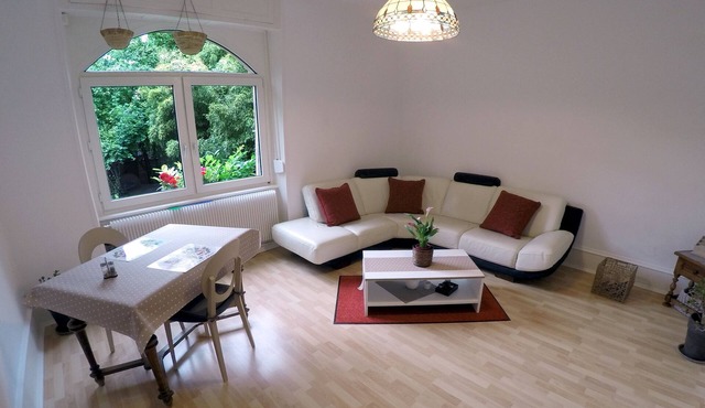 Bright and comfortable apartment near the historic center in Colmar