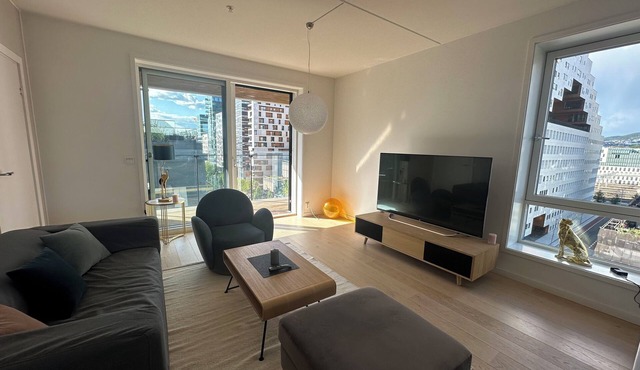 Central Luxurious Apartment Barcode Oslo in Oslo