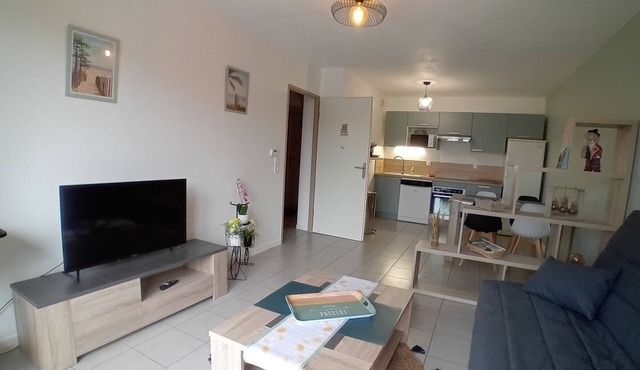 Charming apartment near beach with terrace and parking in Labenne