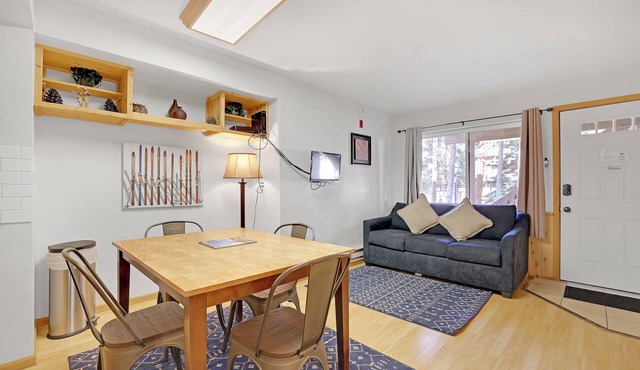 Charming One-Bedroom. Walk to Town, Near Hiking/Biking l wp33b in Breckenridge