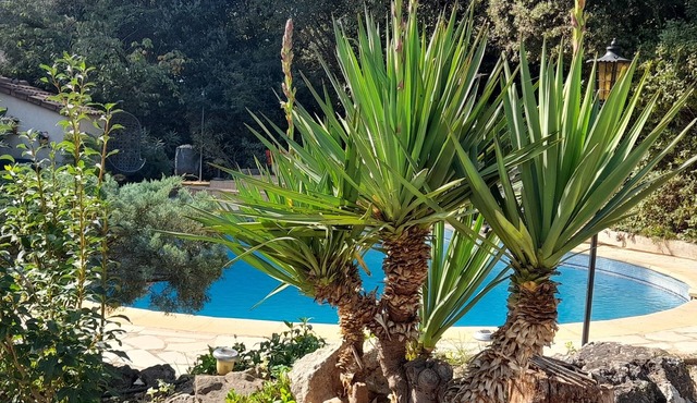 "Chez Jeannot" Spacious housing 53m ² quiet in Garéoult