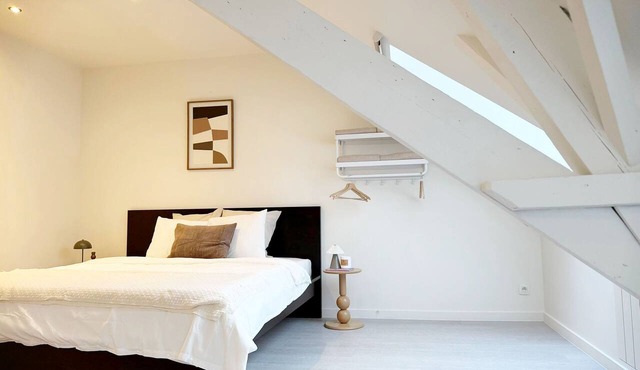 Chic 2 Apartments Near to City Center in Ghent