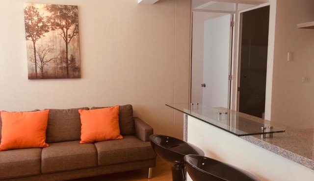 Confortable privado y acogedor departamento Barranco in Lima
