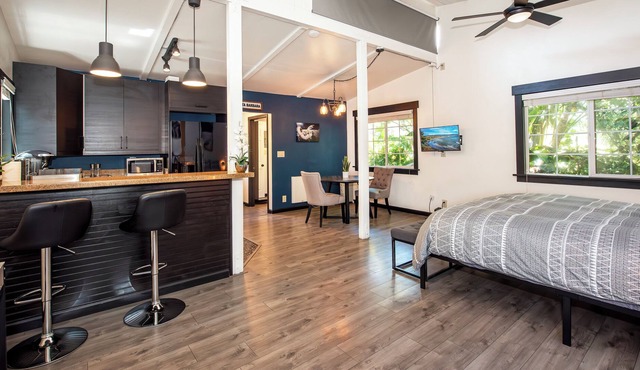 Contemporary Studio w/ King Bed in Santa Barbara
