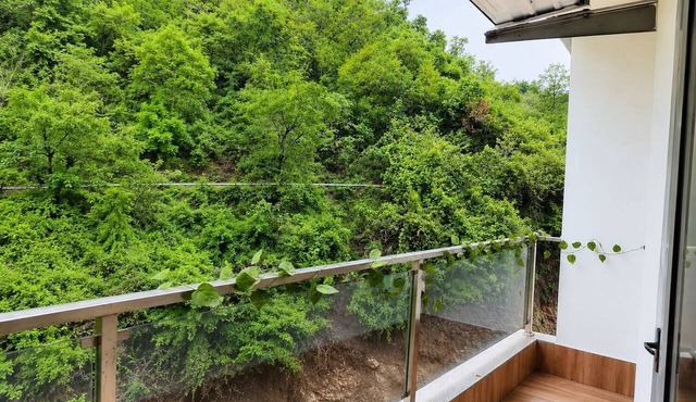 Cozy 1 BHK Staycation | Patio | Tapovan, Rishikesh in Rishikesh