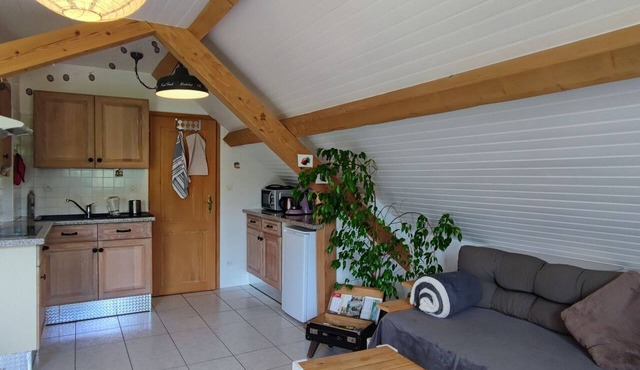 Cozy apartment with views of the mountains! in Fouchy