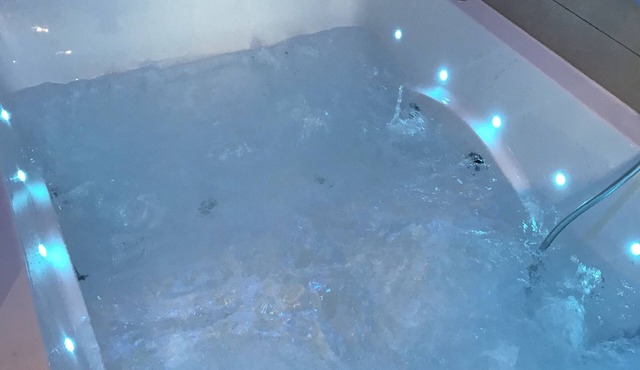 F1 35m2 sauna jacuzzi 10min center Strasbourg in Bischheim