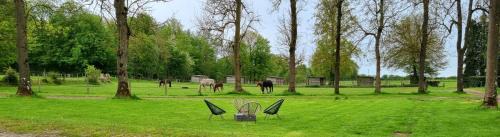 Gite Haras du Bois de Formerie in Formerie