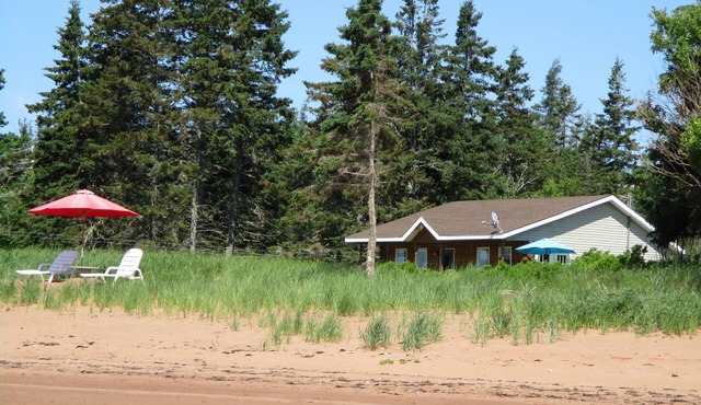 Good Vibes Happen On The Tides in Belle River