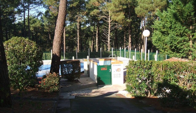 house in the pine forest, near the ocean in Lacanau