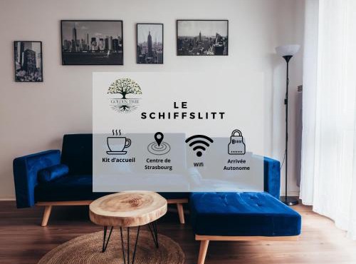 Le Schiffslitt - Hyper-Centre, Proche des Quais in Strasbourg