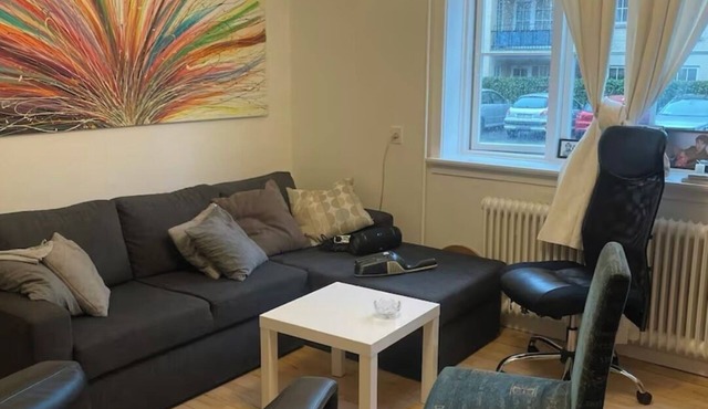 Light Cozy Studio apartment near copenhagen And close to the forest in Charlottenlund
