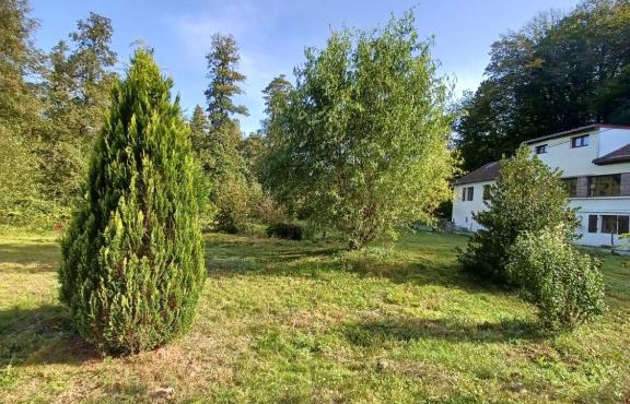 Logement dans un cadre apaisant à Moussey dans les Vosges in Moussey