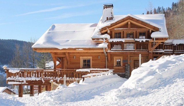 LUXURY chalet 13 pers, La Bresse Vosges, PMR, sauna, JACUZZI, WIFI, well located in La Bresse