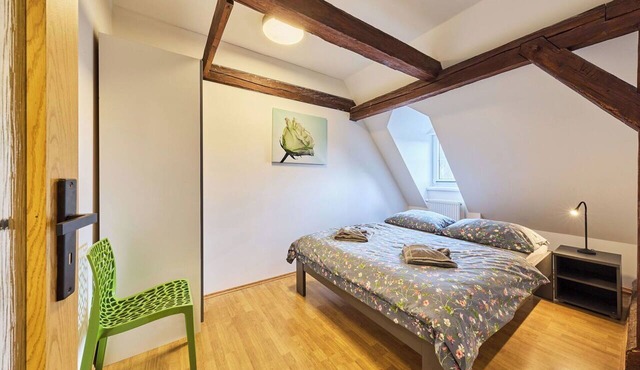 Nice apartment for 8 guests with WIFI, terrace and pets allowed in Děčín