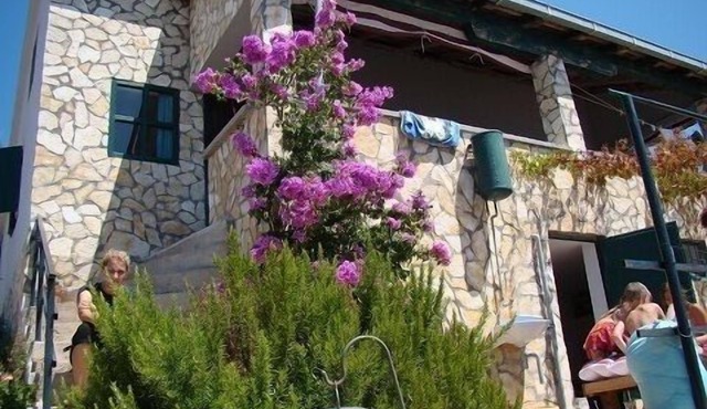 Robinson's vacation directly by the sea in Croatia Wonderful vacation in Tkon