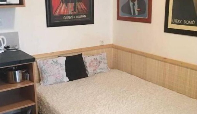 Small cozy studio with bathroom and kitchenette in Svinarov