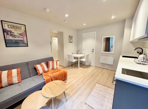 Smart & Central - New Renovated in Oslo