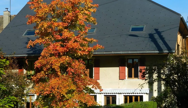Studio "Le Cabanon 35 m²" with Mountain View in Doussard