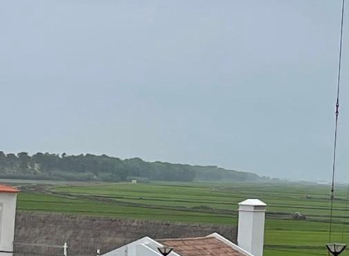 Varanda _do_arrozal in Carvalhal