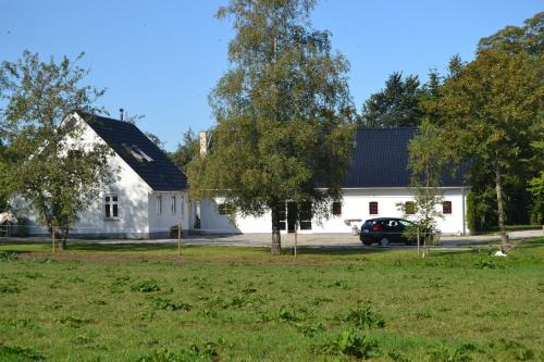 Vibes bed&breakfast in Trige