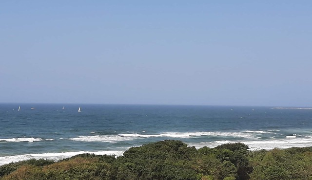 Welcoming apartment in Durban with stunning ocean views in Durban