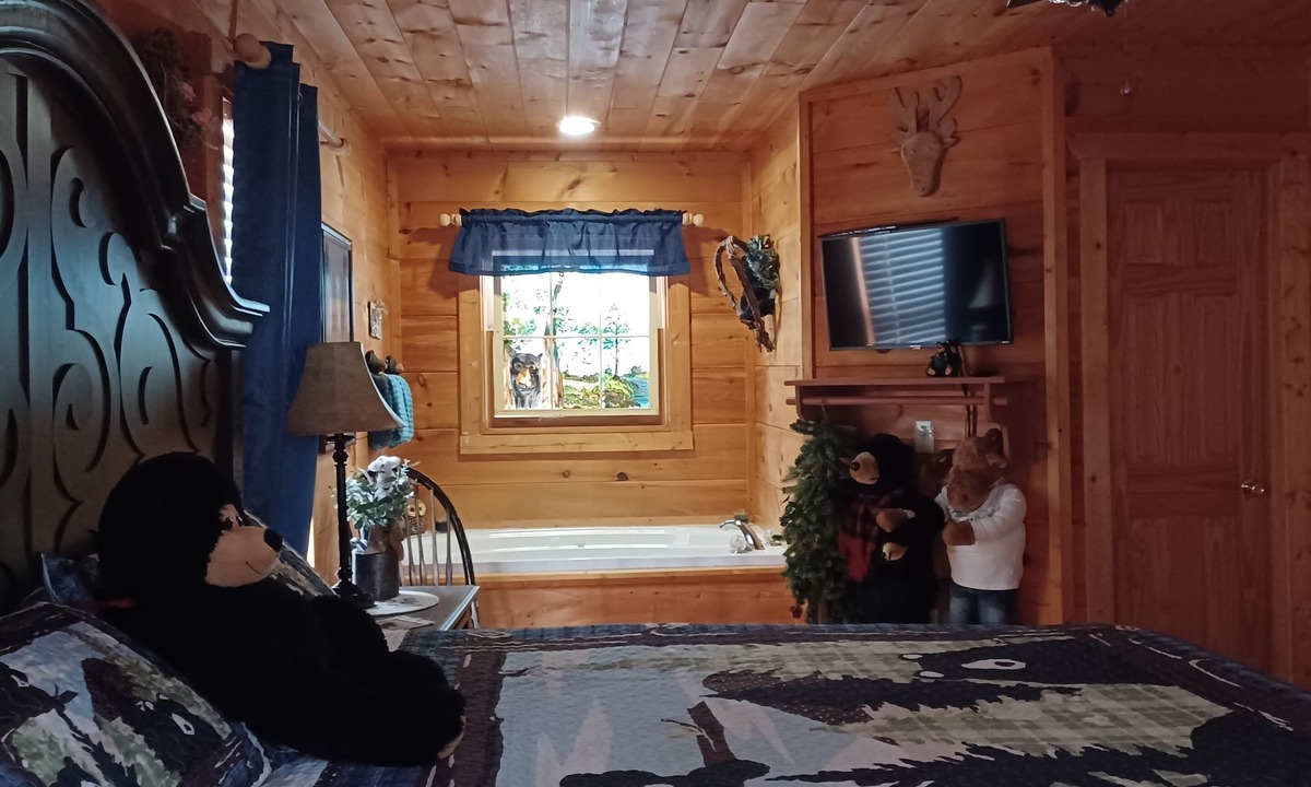 Sevierville Cabin | A BEARY TALE - INCREDIBLY ROMANTIC AND COZY - FREE WIFI - Perfect Location!