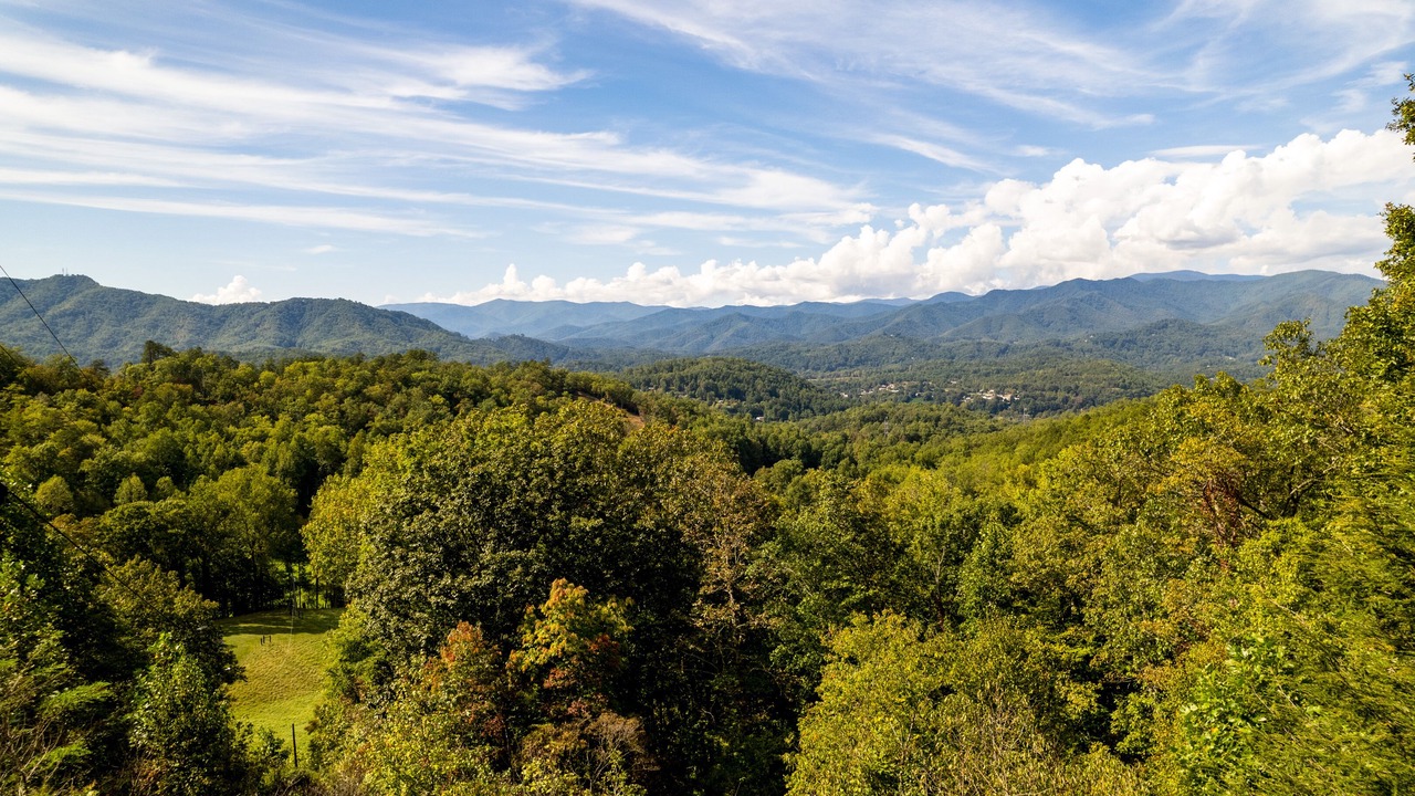 Photo of Others in Bryson City