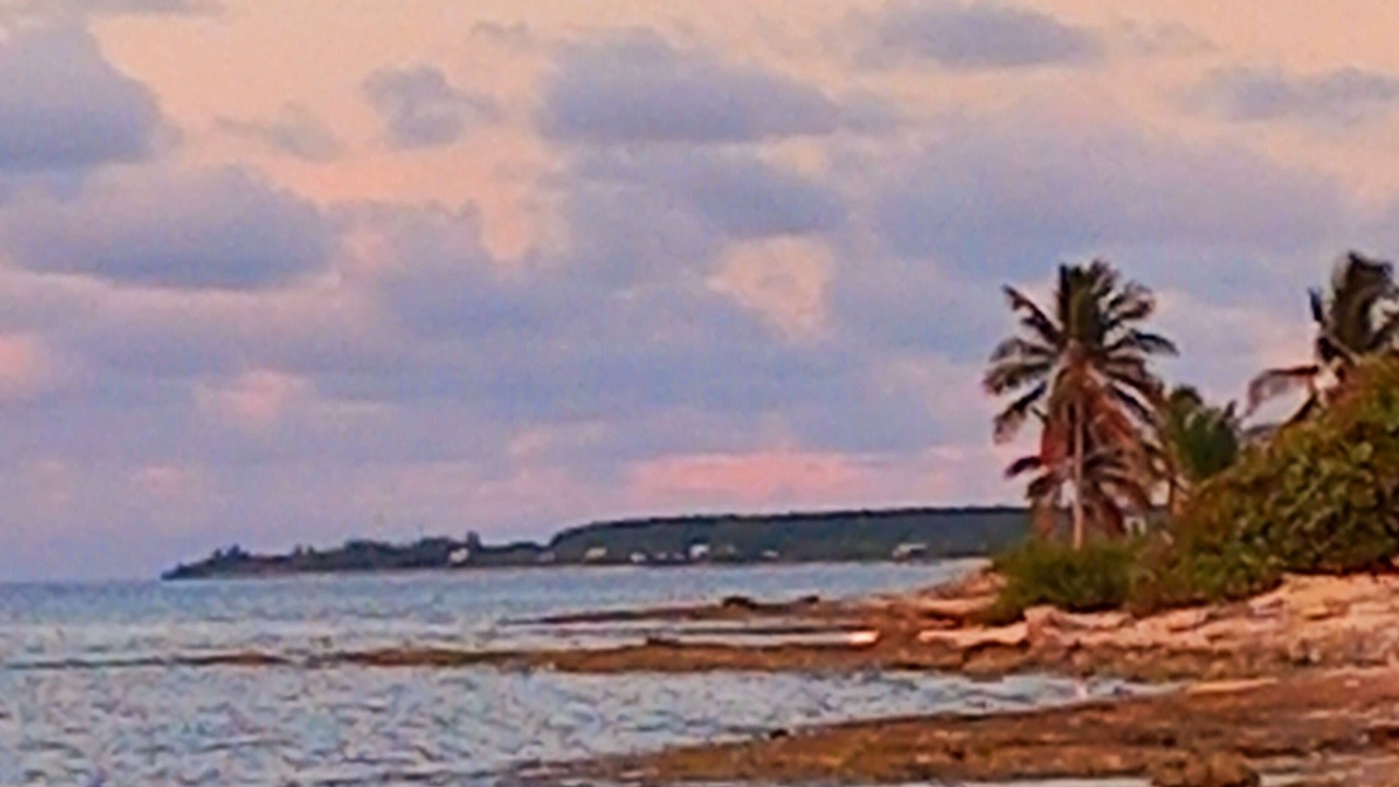 Photo of Others in Cotton Tree Bay