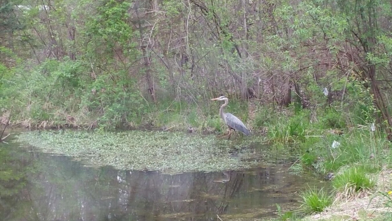Photo of Others in Streetsboro