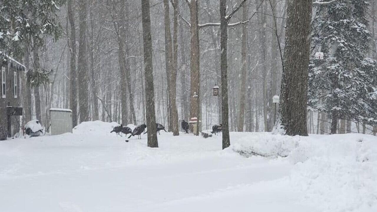 Photo of Others in Streetsboro