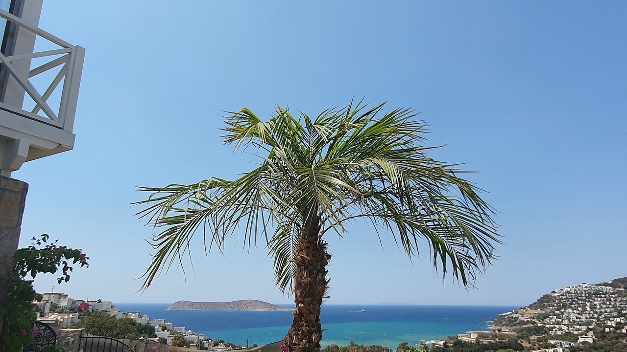 Photo of Outdoor in Dagbelen