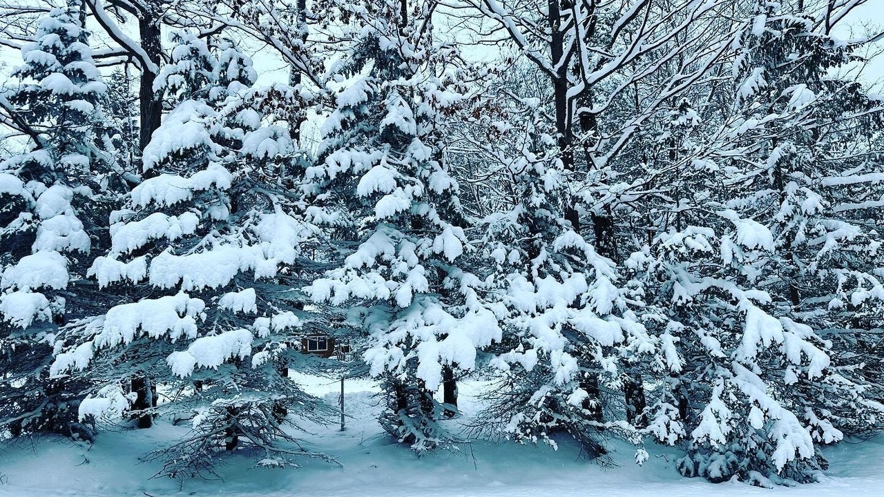 Photo of Outdoor in Lake Arrowhead