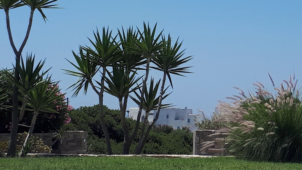 Photo of Outdoor in Plaka