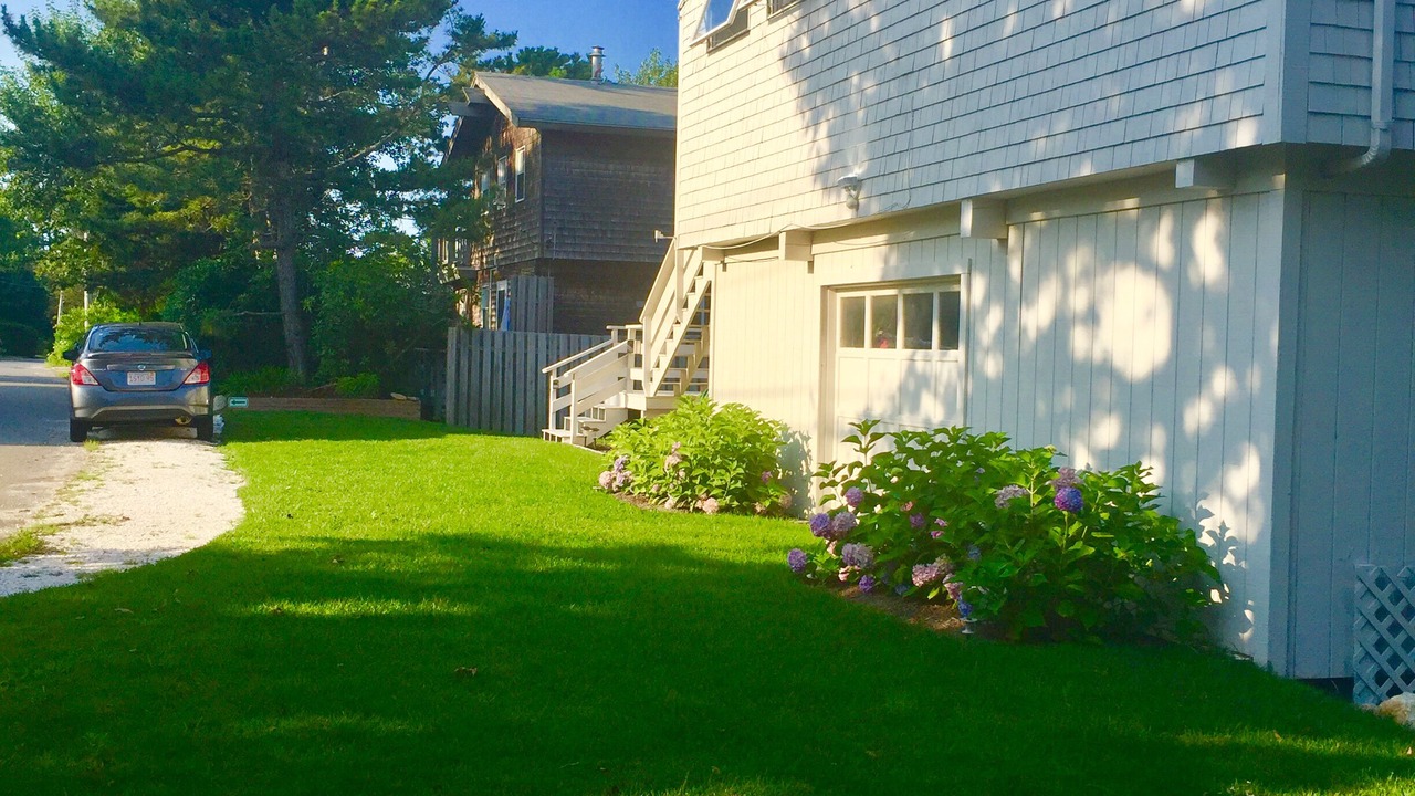 Photo of Others in Woods Hole
