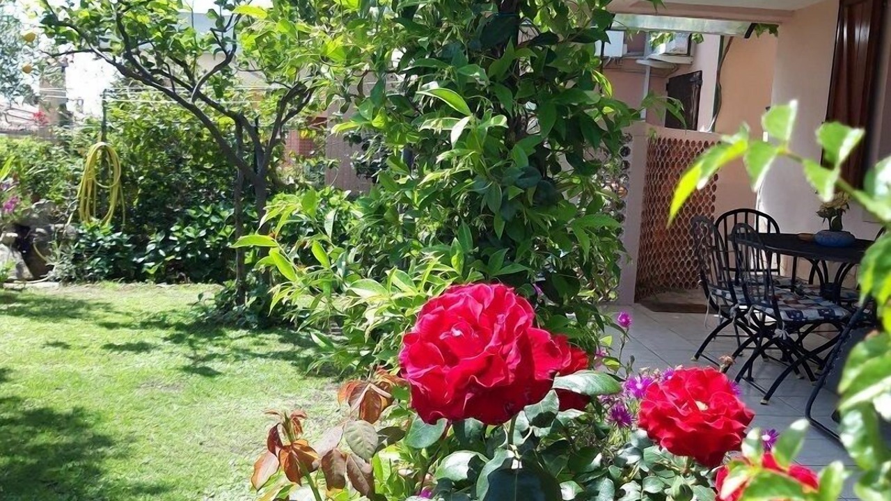 Photo of Outdoor in Costa Rei