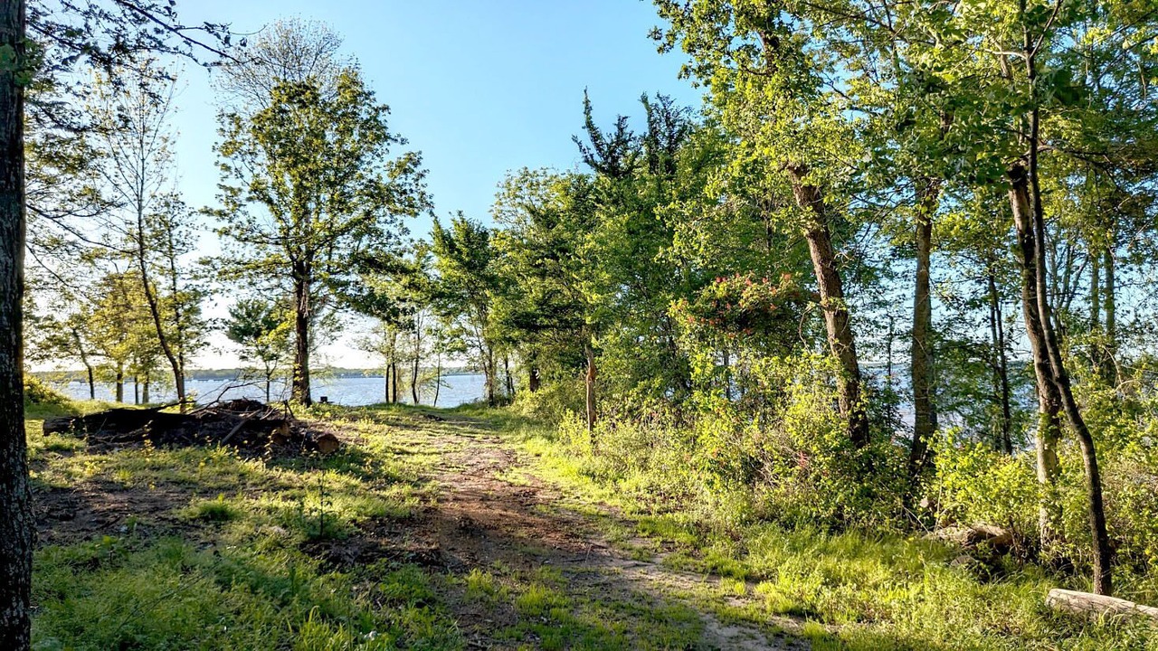 Photo of Outdoor in Quitman
