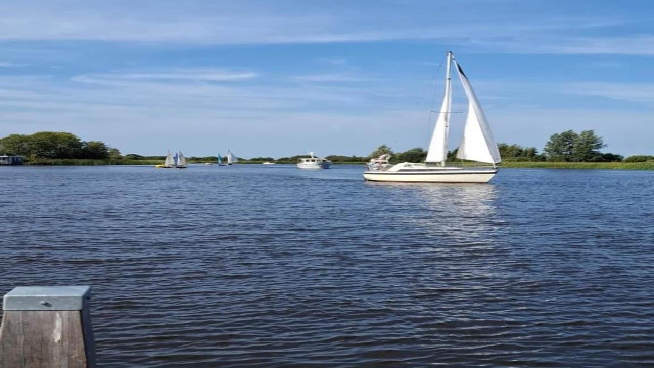 Photo of Others in Grou