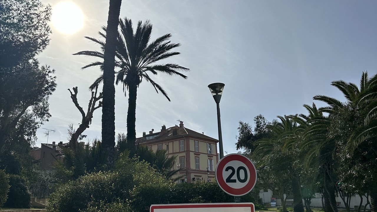 Photo of Others in Porquerolles