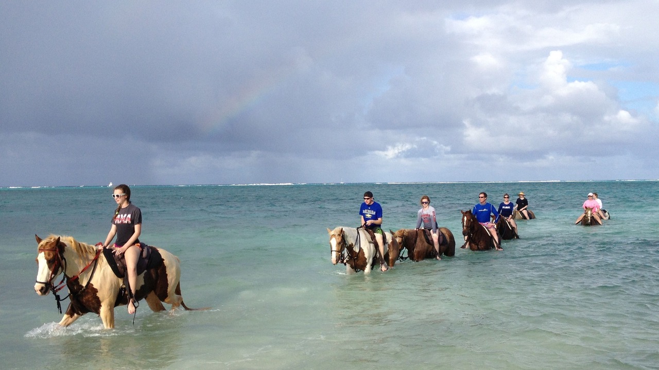Photo of Others in Seven Mile Beach